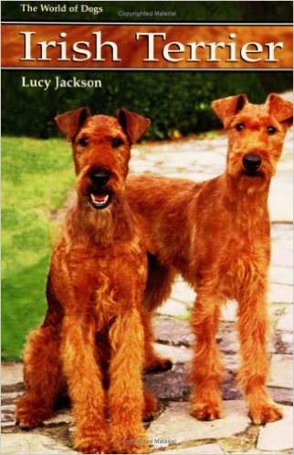 irish_terrier_2